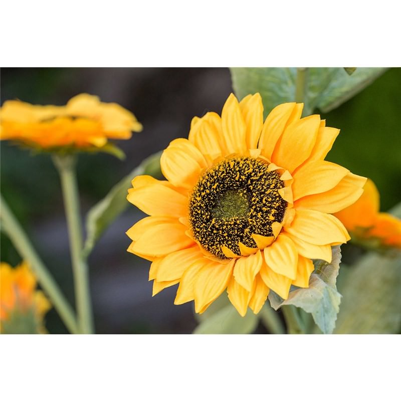 Set of 3 Artificial Sunflower Stalks