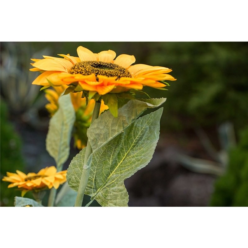 Set of 3 Artificial Sunflower Stalks