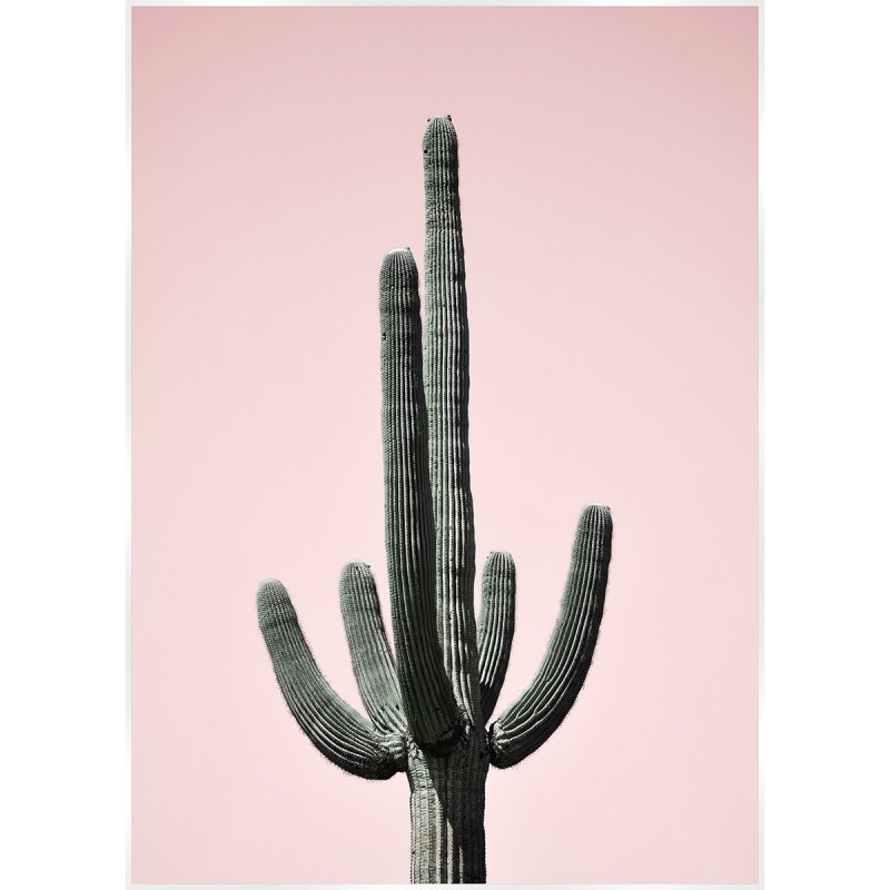 Bold Cactus Canvas Wall Art Print Saguaro Blush 140cm