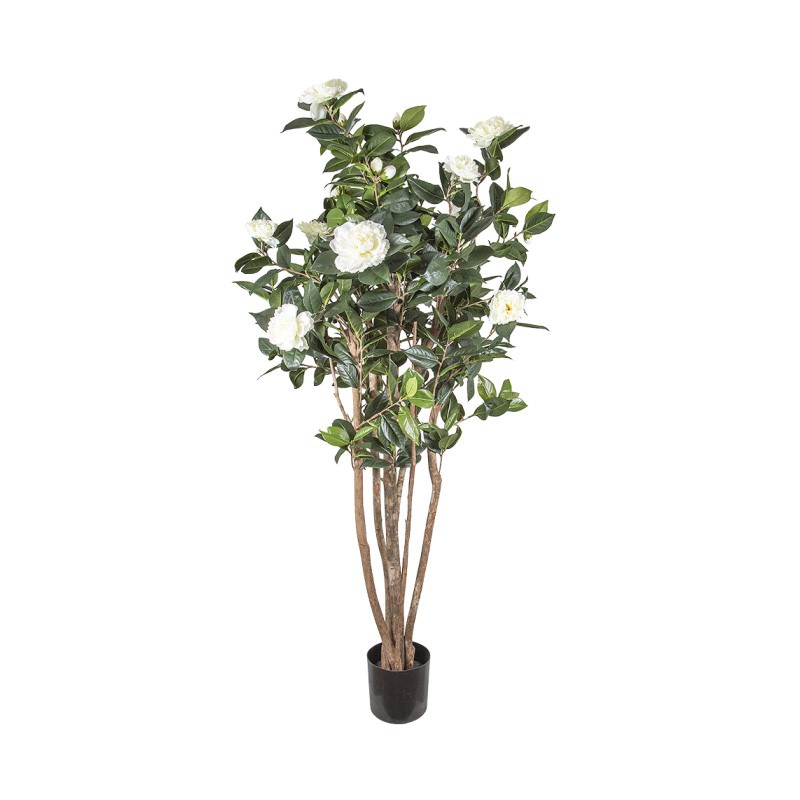 Artificial Camellia Japonica Tree, White Flower, 120cm