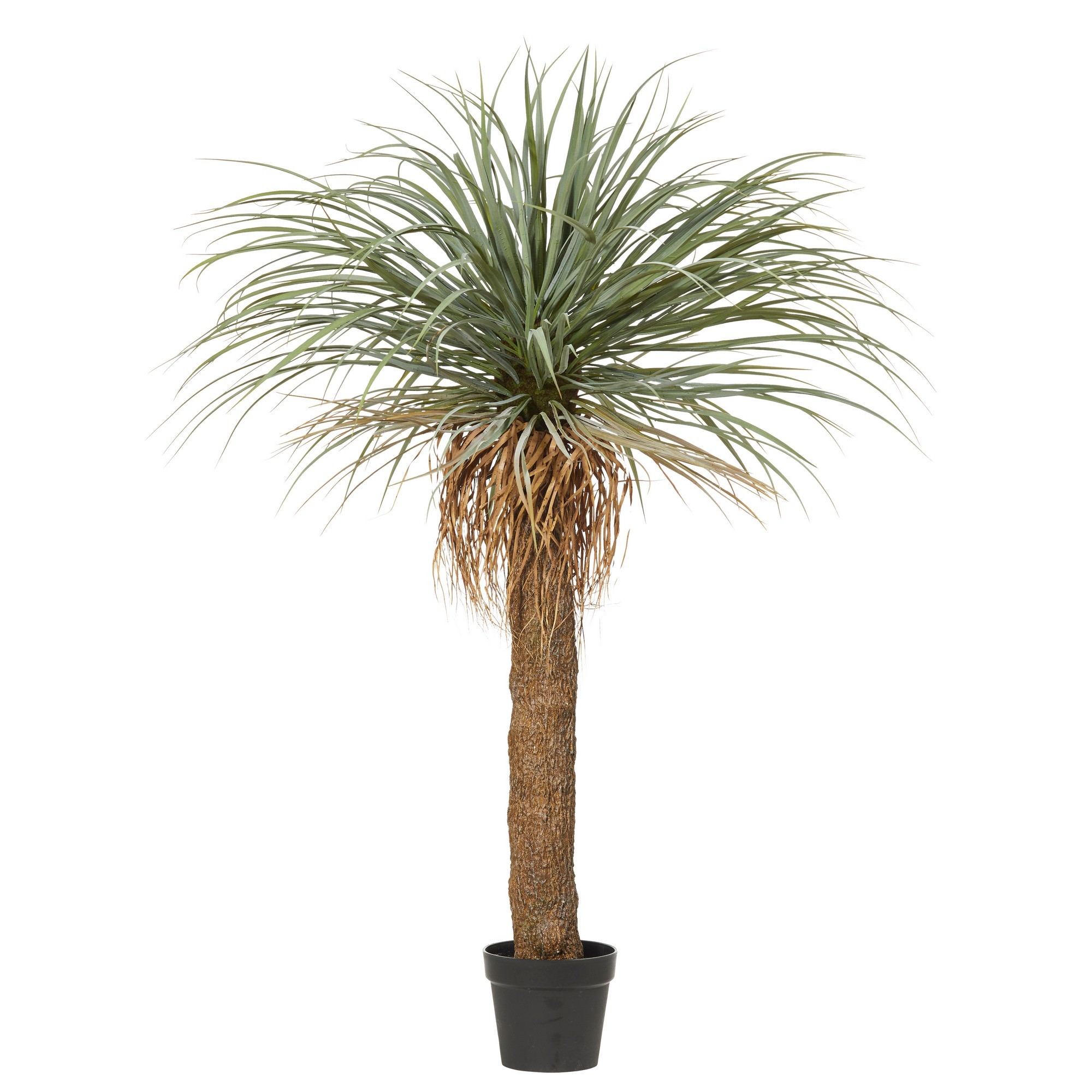 Potted Artificial Grass Tree, 183cm