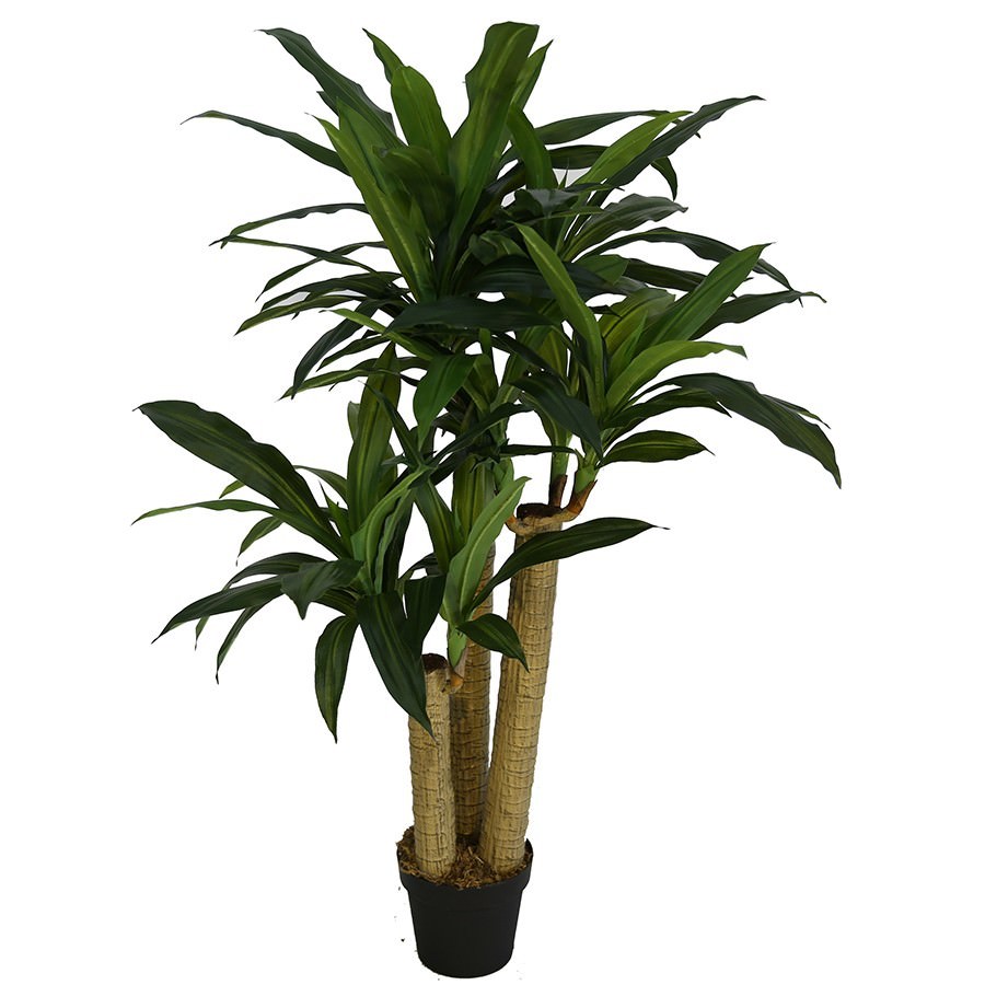 Potted Artificial Dracaena Tree, 120cm