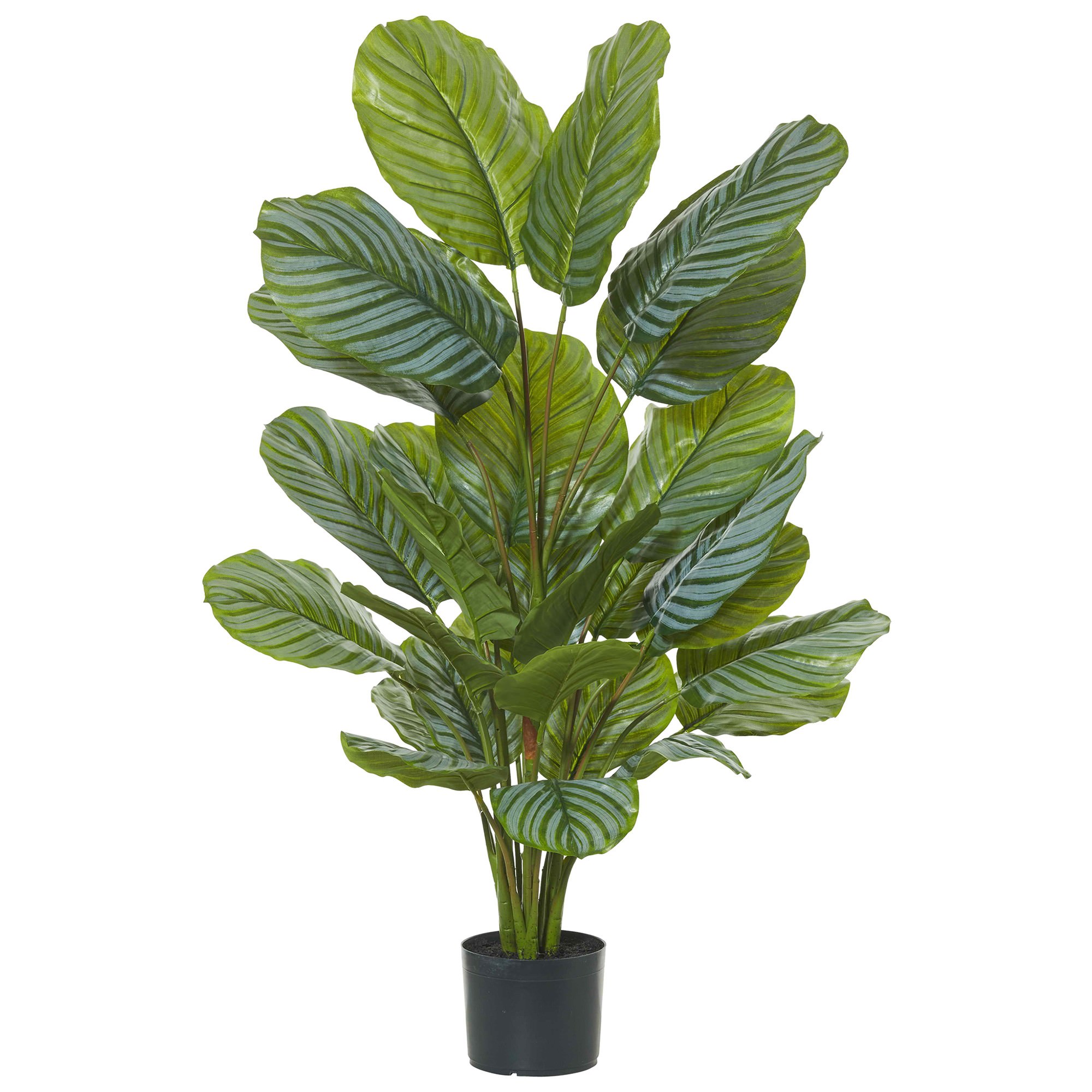 Potted Artificial Calathea, 115cm