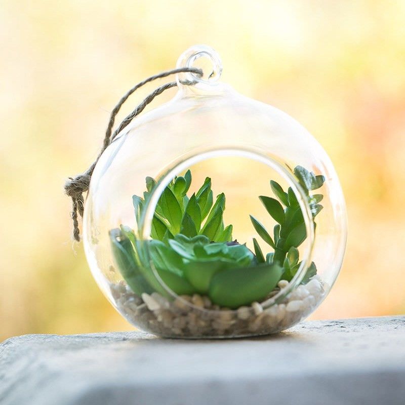 Artificial Miniature Plants in Hanging Glass Terrarium C