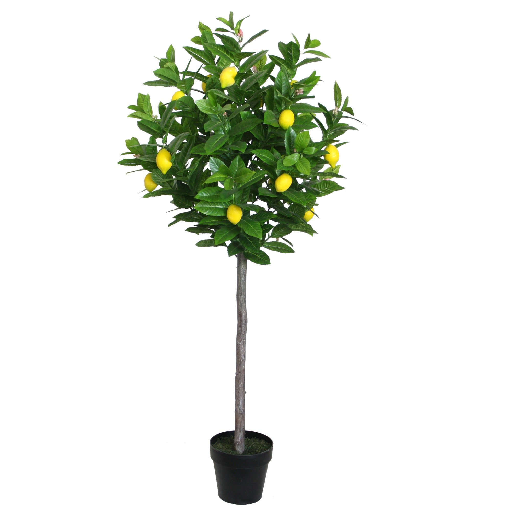 Potted Artificial Lemon Tree, 145cm