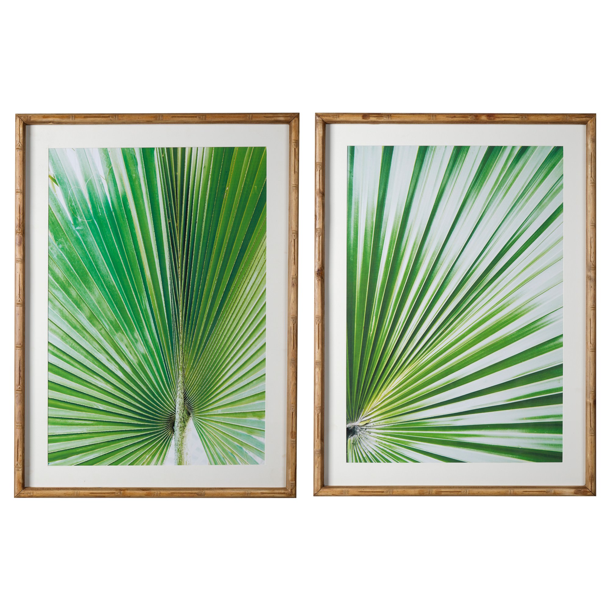Fan Palm Leaf 2 Piece Framed Wall Art Print Set, 74cm