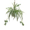 Glamorous Fusion Artificial Spider Plant in Hanging Pot, 68cm
